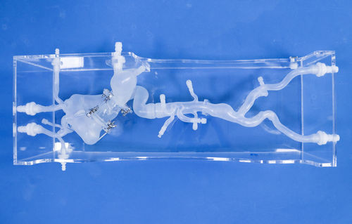 Modello vascolare cardiaco - XXD024 - Trando 3D Medical Technology - di vasi sanguigni / di arteria / di arteria femorale