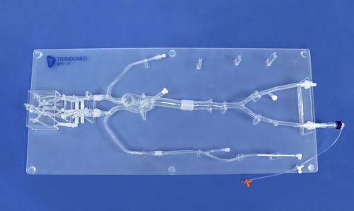 Modello anatomico intracranico - SJ001D-09 - Trando 3D Medical Technology - di testa / di arteria / di arteria femorale