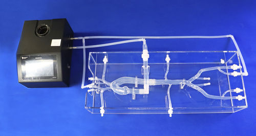 modello vascolare cardiaco - Trando 3D Medical Technology