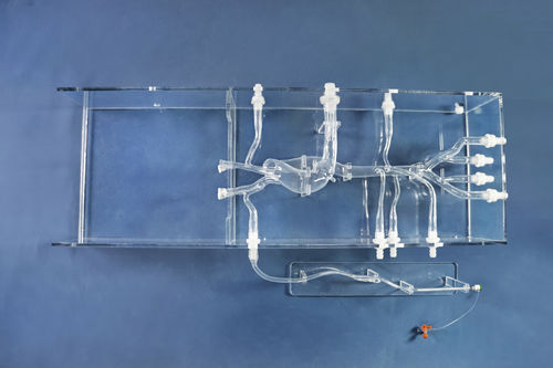 Modello vascolare cardiaco - XXD025 - Trando 3D Medical Technology - di vasi sanguigni / di arteria / di arteria femorale