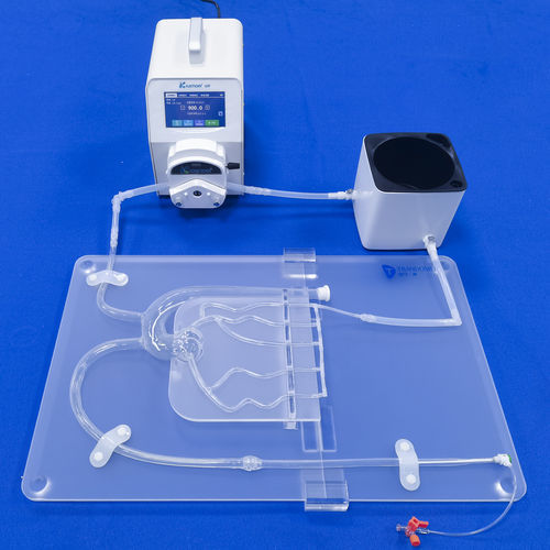 Modello anatomico di arterie coronarie - XXD007 - Trando 3D Medical Technology - didattico / trasparente / flessibile