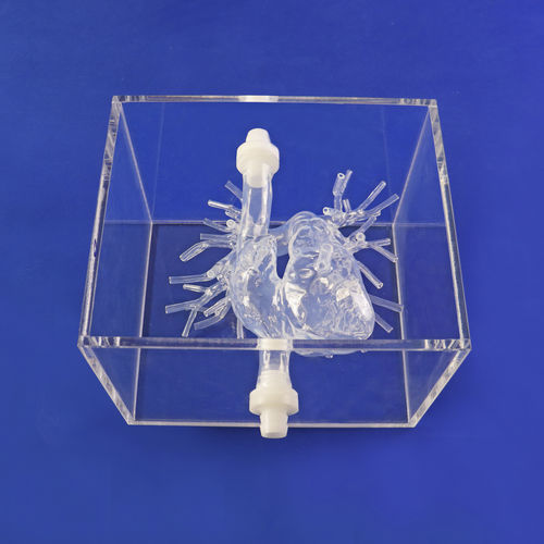 Modello anatomico di arteria - PA001-02 - Trando 3D Medical Technology - per chirurgia mini-invasiva / didattico / trasparente