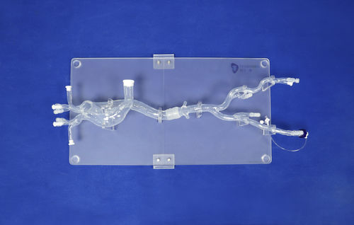 Modello vascolare di vasi sanguigni - XXD019 - Trando 3D Medical Technology - di arteria / per chirurgia mini-invasiva / didattico