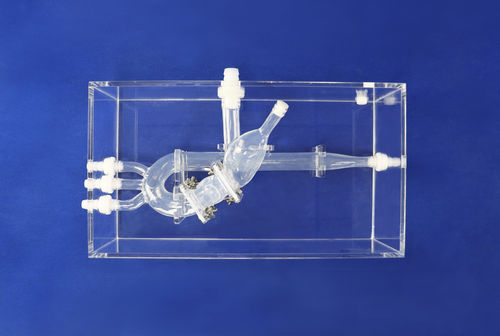Modello anatomico cardiaco - XXD015 - Trando 3D Medical Technology - toracico / per chirurgia mini-invasiva / didattico