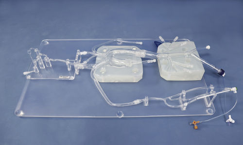 Modello anatomico di arteria - SJ001D-05 - Trando 3D Medical Technology - di arteria femorale / di arteria carotide / addominale
