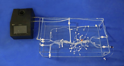 Modello anatomico addominale - FBS003 - Trando 3D Medical Technology - per chirurgia mini-invasiva / didattico / trasparente