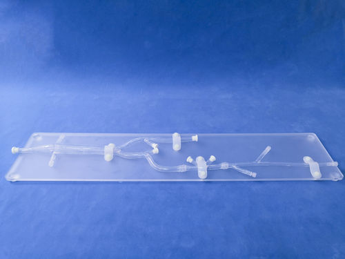 Modello anatomico arti inferiori - XZ005D - Trando 3D Medical Technology - per chirurgia mini-invasiva / didattico / trasparente