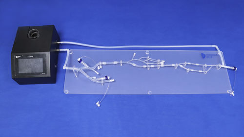 Modello anatomico arti inferiori - XXD003 - Trando 3D Medical Technology - per chirurgia mini-invasiva / didattico / flessibile