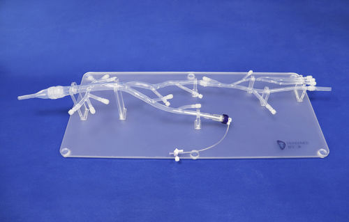 Modello anatomico arti inferiori - XZS001-1 - Trando 3D Medical Technology - per chirurgia mini-invasiva / didattico / trasparente
