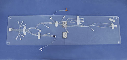modello anatomico arti inferiori - Trando 3D Medical Technology