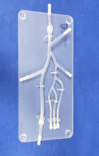 Modello anatomico di gamba - XXD006 - Trando 3D Medical Technology - arti inferiori / per chirurgia mini-invasiva / didattico