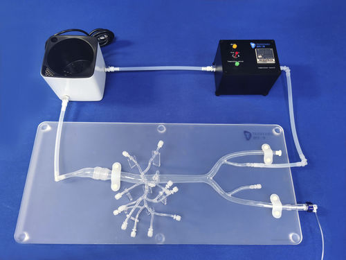 Modello anatomico di arteria - FBD018 - Trando 3D Medical Technology - addominale / per chirurgia mini-invasiva / didattico