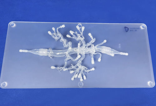 Modello anatomico di arteria - FBD019 - Trando 3D Medical Technology - addominale / per chirurgia mini-invasiva / didattico