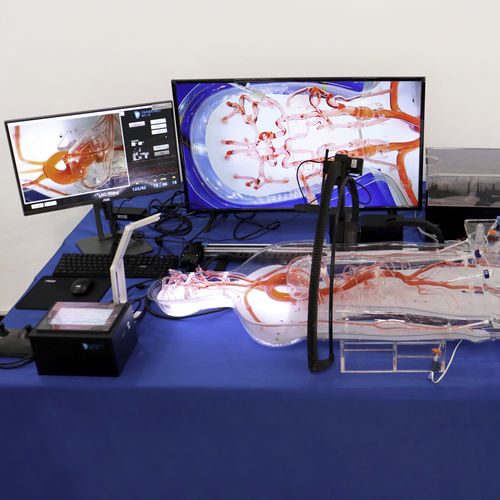 simulatore per gastroscopia - Trando 3D Medical Technology