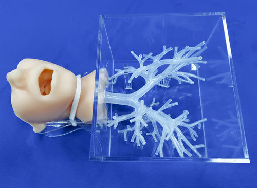 simulatore didattico - Trando 3D Medical Technology