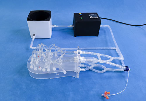 modello anatomico intracranico - Trando 3D Medical Technology