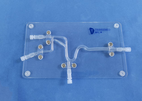 Modello vascolare di vasi sanguigni - SJJ007D - Trando 3D Medical Technology - cerebrale / intracranico / neurochirurgico