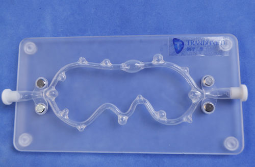 Modello anatomico di arteria - SJX006 - Trando 3D Medical Technology - di vasi sanguigni / didattico / di aneurisma