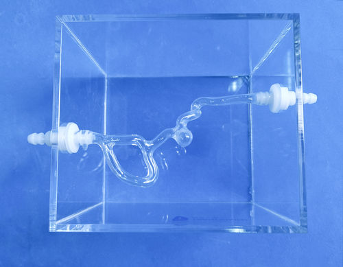 Modello anatomico di arteria carotide - Trando 3D Medical Technology - di vasi sanguigni / neurochirurgico / didattico