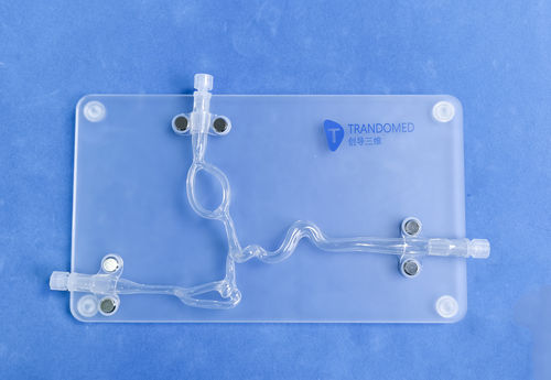 Modello vascolare di vasi sanguigni - SDL004-2 - Trando 3D Medical Technology - cerebrale / intracranico / per chirurgia vascolare