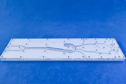 Modello vascolare intracranico - SJX001 - Trando 3D Medical Technology - di vasi sanguigni / per chirurgia mini-invasiva / didattico