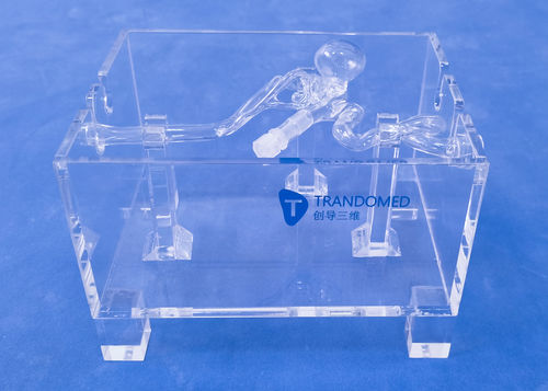 Modello vascolare di vasi sanguigni - SDL001-1 - Trando 3D Medical Technology - intracranico / didattico / di aneurisma