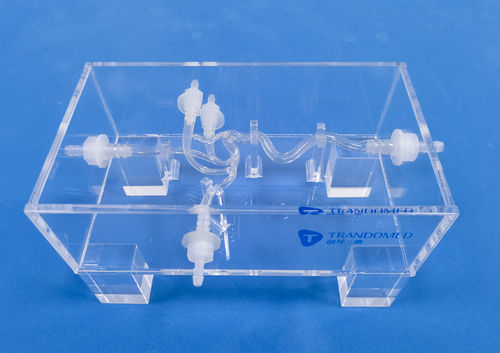 Modello vascolare di vasi sanguigni - SDL006 - Trando 3D Medical Technology - cerebrale / intracranico / per chirurgia vascolare