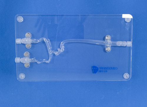 Modello vascolare di vasi sanguigni - JYX001-3 - Trando 3D Medical Technology - cerebrale / intracranico / neurochirurgico