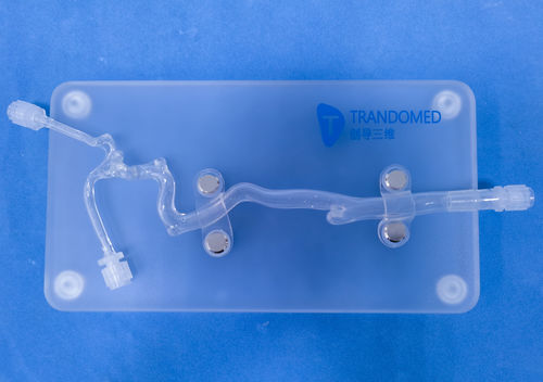 Modello vascolare di vasi sanguigni - JYX001-5 - Trando 3D Medical Technology - cerebrale / intracranico / per chirurgia vascolare
