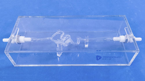 Modello vascolare di vasi sanguigni - SJK003D - Trando 3D Medical Technology - intracranico / didattico / trasparente