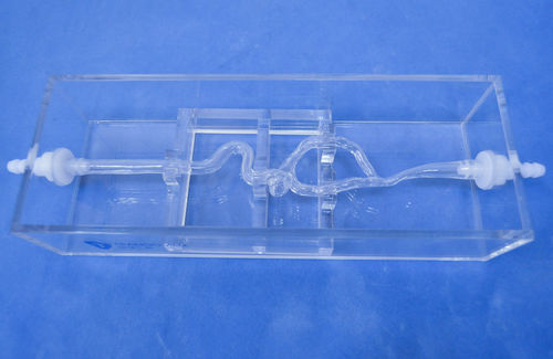 Modello vascolare di arteria - SJK004D - Trando 3D Medical Technology - di vasi sanguigni / didattico / trasparente
