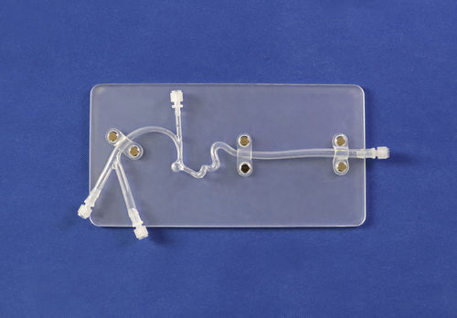 Modello vascolare di vasi sanguigni - Trando 3D Medical Technology - cerebrale / intracranico / neurochirurgico