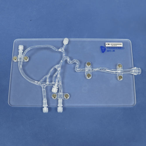 Modello anatomico intracranico - Trando 3D Medical Technology - di vasi sanguigni / didattico / di aneurisma