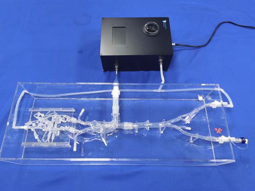 Modello vascolare di vasi sanguigni - SJX006-2 - Trando 3D Medical Technology - intracranico / per chirurgia mini-invasiva / didattico