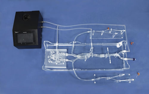 modello anatomico intracranico - Trando 3D Medical Technology