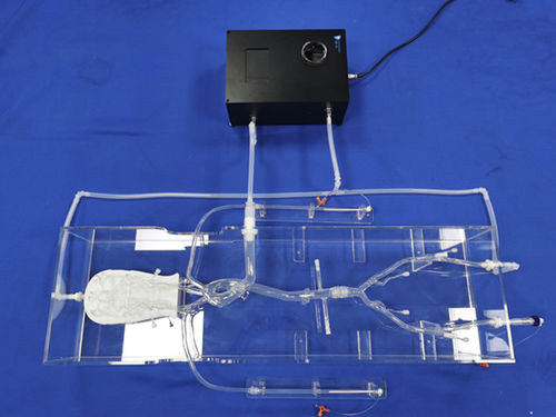 Modello vascolare per neurologia - SJX013 - Trando 3D Medical Technology - intracranico / di vasi sanguigni / per chirurgia mini-invasiva