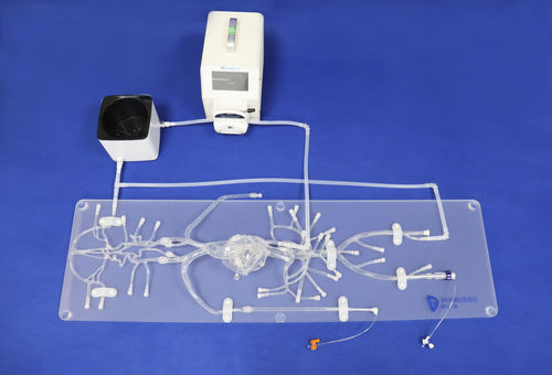 Modello vascolare per angiografia - QS002D-01 - Trando 3D Medical Technology - di vasi sanguigni / di arteria / di arteria femorale