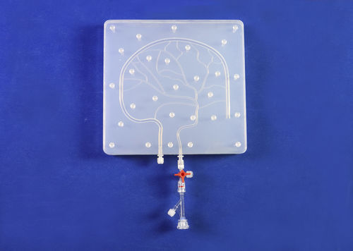 Modello anatomico intracranico - SJX010 - Trando 3D Medical Technology - per chirurgia mini-invasiva / didattico / trasparente