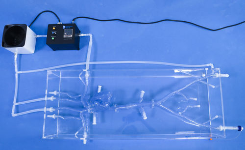 Modello anatomico di cuore - XX001J - Trando 3D Medical Technology - di testa / di braccio / di collo