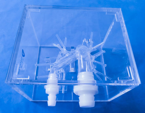 modello anatomico di arteria - Trando 3D Medical Technology