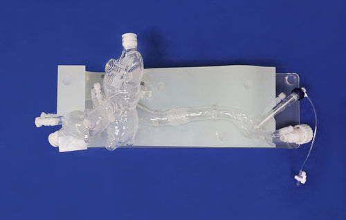 Modello vascolare cardiaco - XXD013 - Trando 3D Medical Technology - di vasi sanguigni / per chirurgia mini-invasiva / didattico