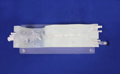 Modello vascolare cardiaco - XXD014 - Trando 3D Medical Technology - di vasi sanguigni / per chirurgia mini-invasiva / ad uso didattico