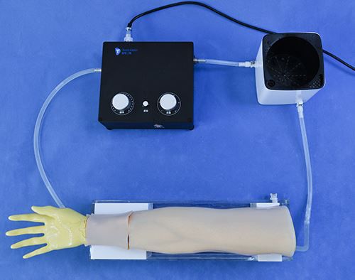 Simulatore didattico - RC011 - Trando 3D Medical Technology - per puntura / per angioplastica coronarica / per chirurgia