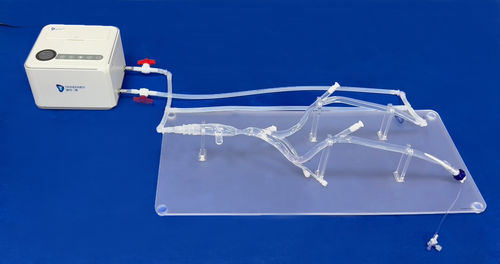 Modello anatomico arti inferiori - XZJ004 - Trando 3D Medical Technology - di vasi sanguigni / per chirurgia vascolare / didattico