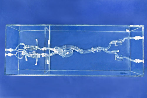 Modello vascolare intracranico - SJX006-3 - Trando 3D Medical Technology - di vasi sanguigni / per chirurgia mini-invasiva / didattico