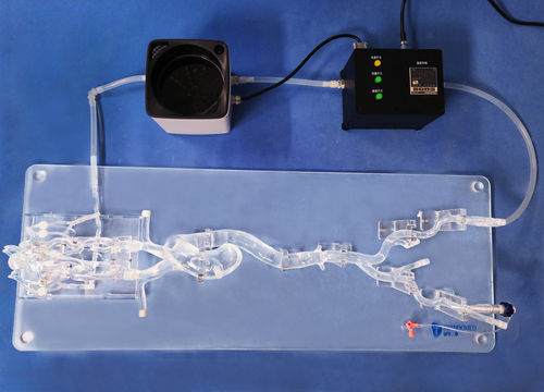 Modello vascolare di vasi sanguigni - SJX006 - Trando 3D Medical Technology - di corpo intero / per chirurgia mini-invasiva / didattico