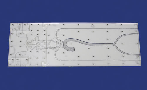 Modello anatomico intracranico - SJX002 - Trando 3D Medical Technology - didattico / trasparente / flessibile
