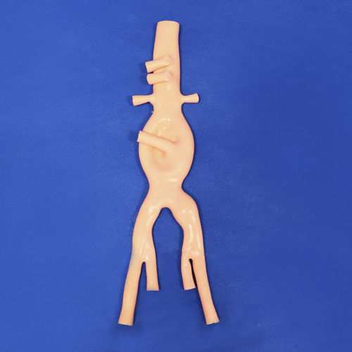 Modello anatomico addominale - FBD016 - Trando 3D Medical Technology - di vasi sanguigni / didattico / per sutura