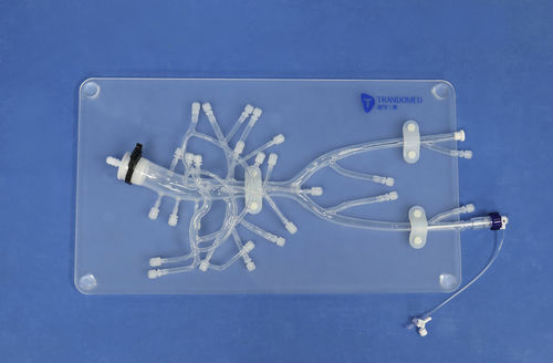 Modello anatomico addominale - FB003D - Trando 3D Medical Technology - didattico / trasparente / con unità di controllo
