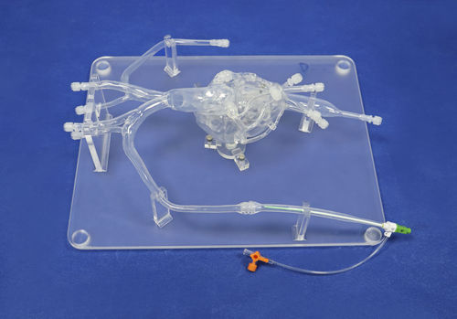 Modello vascolare di arteria femorale - XXD010 - Trando 3D Medical Technology - di arterie coronarie / aorta addominale / arteria iliaca